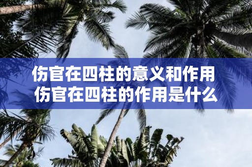 伤官在四柱的意义和作用 伤官在四柱的作用是什么