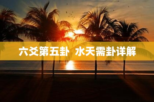 六爻第五卦 水天需卦详解
