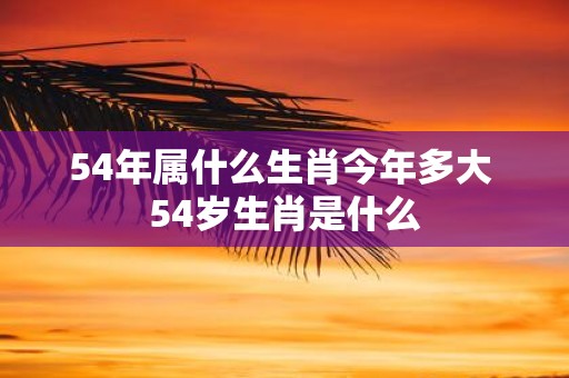 54年属什么生肖今年多大 54岁生肖是什么 54年属什么生肖今年多大 54岁生肖是什么