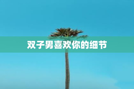 双子男喜欢你的细节