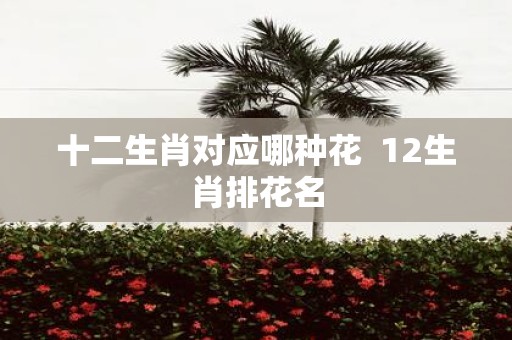 十二生肖对应哪种花 12生肖排花名