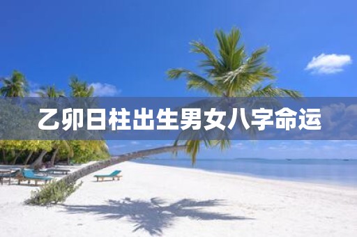 乙卯日柱出生男女八字命运