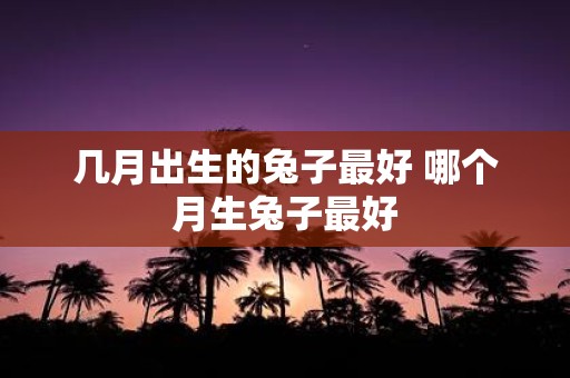 几月出生的兔子最好 哪个月生兔子最好