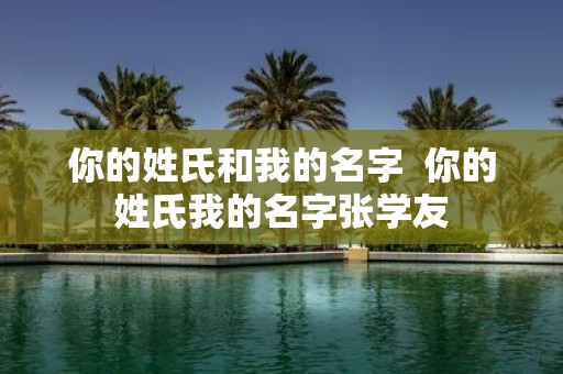 你的姓氏和我的名字 你的姓氏我的名字张学友
