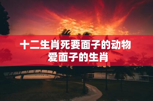 十二生肖死要面子的动物 爱面子的生肖