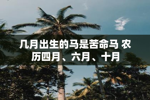 几月出生的马是苦命马 农历四月、六月、十月