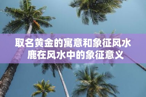 取名黄金的寓意和象征风水 鹿在风水中的象征意义