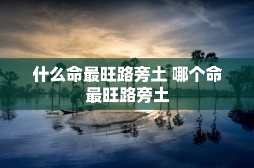 什么命最旺路旁土 哪个命最旺路旁土
