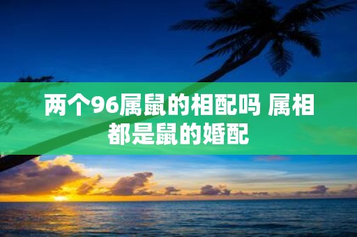 两个96属鼠的相配吗 属相都是鼠的婚配