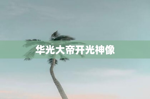 华光大帝开光神像