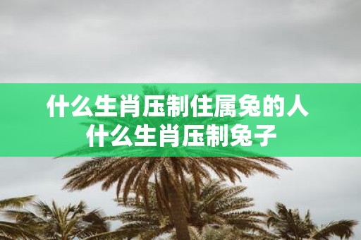 什么生肖压制住属兔的人 什么生肖压制兔子