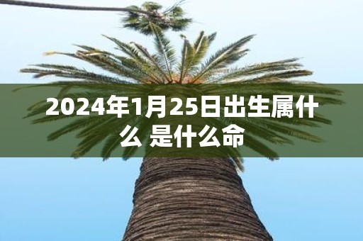 2025年1月25日出生属什么 是什么命