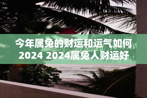 今年属兔的财运和运气如何2025 2025属兔人财运好吗