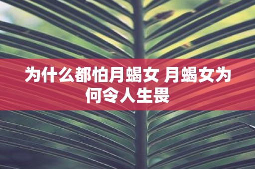 为什么都怕月蝎女 月蝎女为何令人生畏