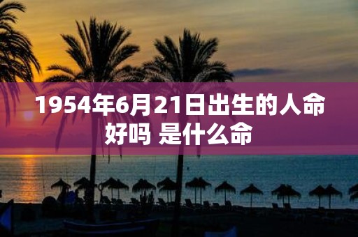1954年6月21日出生的人命好吗 是什么命
