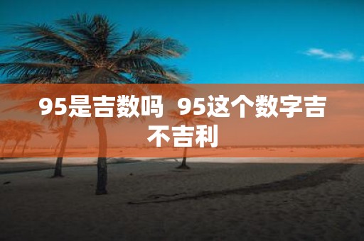 95是吉数吗 95这个数字吉不吉利