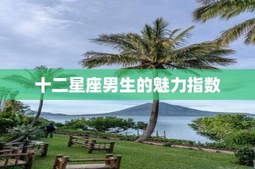 十二星座男生的魅力指数