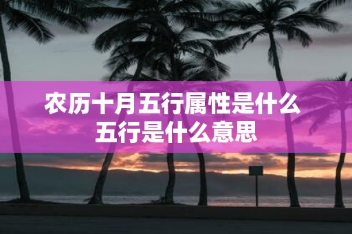 农历十月五行属性是什么 五行是什么意思