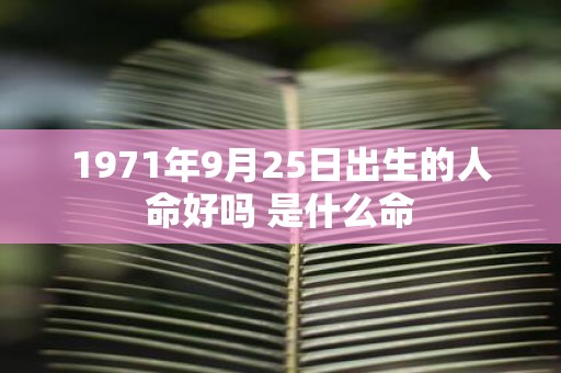 1971年9月25日出生的人命好吗 是什么命