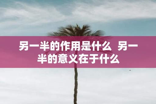 另一半的作用是什么 另一半的意义在于什么
