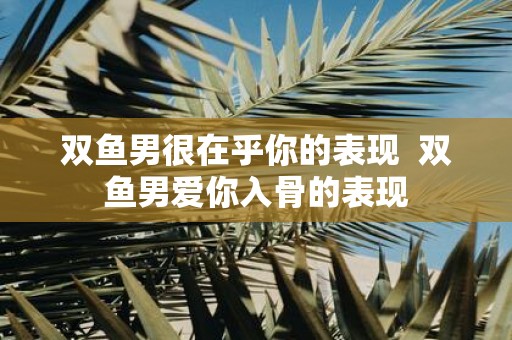 双鱼男很在乎你的表现 双鱼男爱你入骨的表现