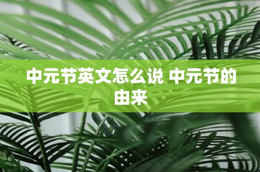 中元节英文怎么说 中元节的由来