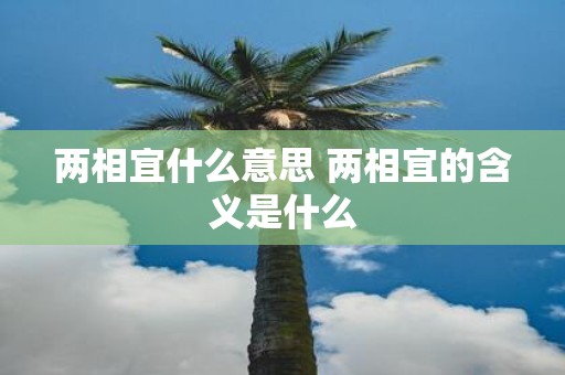 两相宜什么意思 两相宜的含义是什么