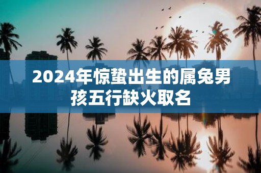 2025年惊蛰出生的属兔男孩五行缺火取名