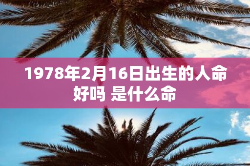 1978年2月16日出生的人命好吗 是什么命