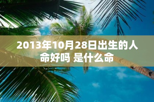 2013年10月28日出生的人命好吗 是什么命
