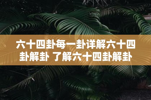 六十四卦每一卦详解六十四卦解卦 了解六十四卦解卦每卦详解
