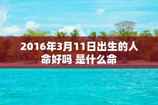 2016年3月11日出生的人命好吗 是什么命