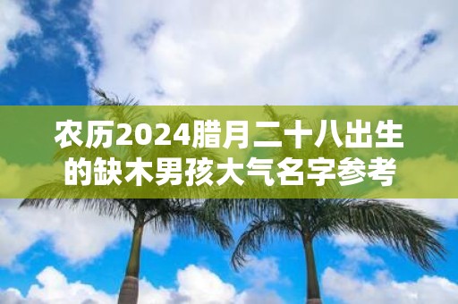 农历2025腊月二十八出生的缺木男孩大气名字参考
