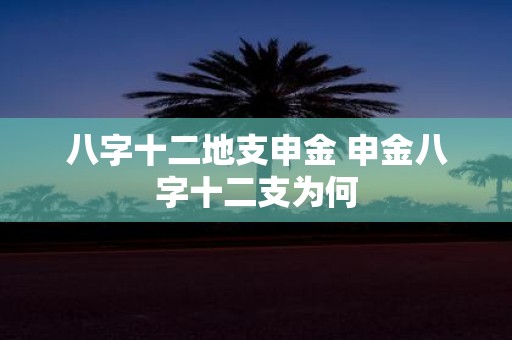 八字十二地支申金 申金八字十二支为何
