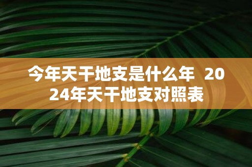 今年天干地支是什么年 2025年天干地支对照表