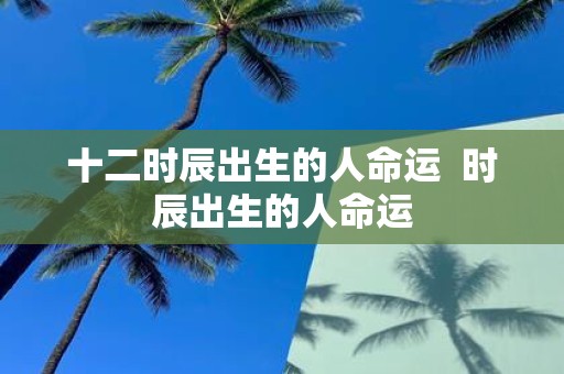 十二时辰出生的人命运 时辰出生的人命运