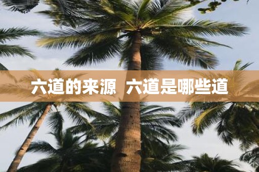 六道的来源 六道是哪些道