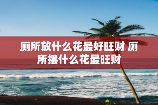 厕所放什么花最好旺财 厕所摆什么花最旺财
