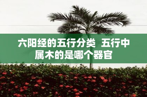六阳经的五行分类 五行中属木的是哪个器官