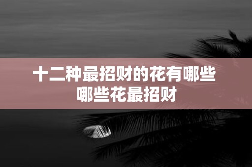 十二种最招财的花有哪些 哪些花最招财