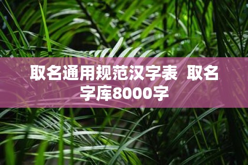 取名通用规范汉字表 取名字库8000字