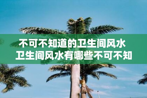 不可不知道的卫生间风水 卫生间风水有哪些不可不知的要点