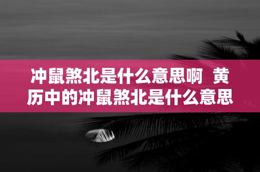 冲鼠煞北是什么意思啊 黄历中的冲鼠煞北是什么意思