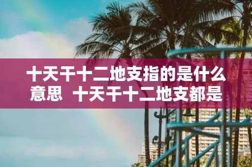 十天干十二地支指的是什么意思 十天干十二地支都是什么