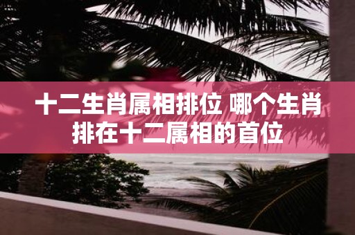 十二生肖属相排位 哪个生肖排在十二属相的首位
