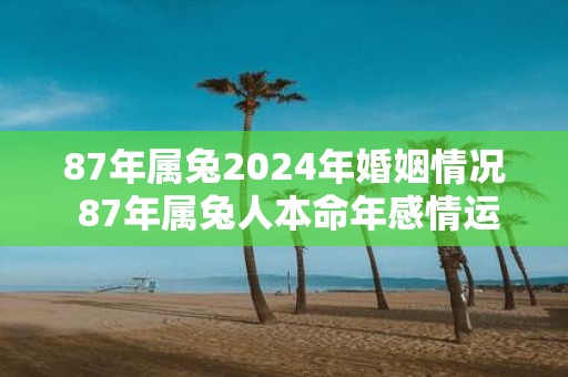 87年属兔2025年婚姻情况 87年属兔人本命年感情运2025