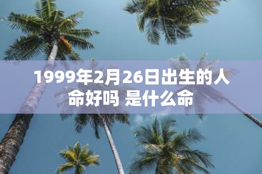 1999年2月26日出生的人命好吗 是什么命