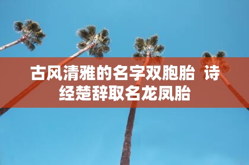 古风清雅的名字双胞胎 诗经楚辞取名龙凤胎