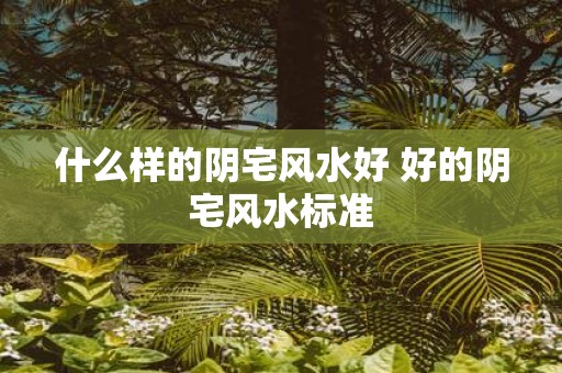什么样的阴宅风水好 好的阴宅风水标准