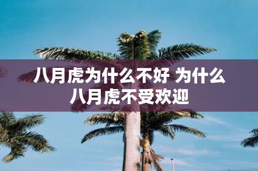 八月虎为什么不好 为什么八月虎不受欢迎